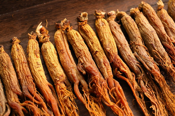 紅參適合什么季節(jié)服用 紅參適合什么人吃 紅參適合什么季節(jié)服用 紅參適合什么人吃