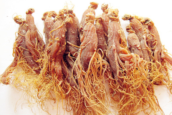 紅參怎么挑選好的 紅參怎么保存最好 紅參怎么挑選好的 紅參怎么保存最好