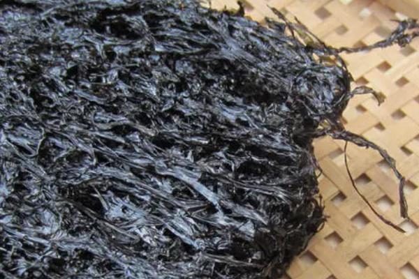 紫菜的保質(zhì)期一般是多久 紫菜的熱量 紫菜的保質(zhì)期一般是多久 紫菜的熱量