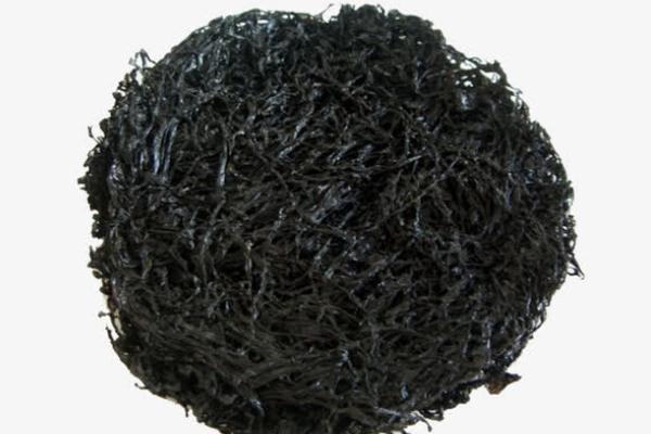 紫菜什么人不合適吃 紫菜和海帶有什么區(qū)別 紫菜什么人不合適吃 紫菜和海帶有什么區(qū)別