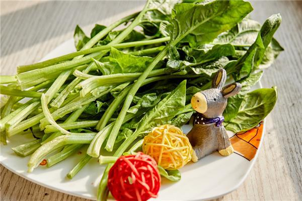 蔬菜上漲原因 蔬菜還會(huì)漲價(jià)嗎 蔬菜上漲原因 蔬菜還會(huì)漲價(jià)嗎