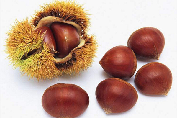 板栗的營養(yǎng)價值高嗎 板栗對身體有哪些好處 板栗的營養(yǎng)價值高嗎 板栗對身體有哪些好處