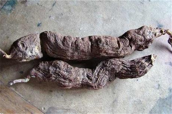 何首烏是補(bǔ)陰還是補(bǔ)陽(yáng) 何首烏的功效和作用 何首烏是補(bǔ)陰還是補(bǔ)陽(yáng) 何首烏的功效和作用