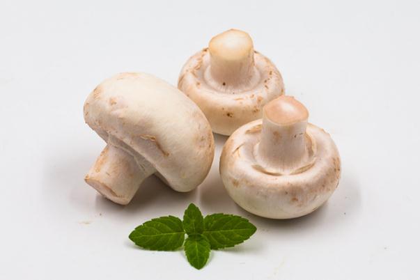 口蘑烤多久能熟 如何判斷口蘑是否烤熟了 口蘑烤多久能熟 如何判斷口蘑是否烤熟了