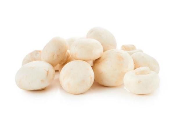 口蘑是雙孢菇嗎 烤口蘑為什么出水