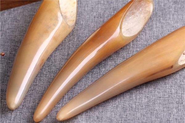 面部撥筋可以天天做嗎 面部撥筋多久做一次合適 面部撥筋可以天天做嗎 面部撥筋多久做一次合適