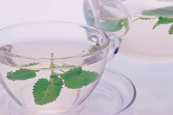 薄荷茶孕婦可以喝嗎 薄荷茶的禁忌人群 薄荷茶孕婦可以喝嗎 薄荷茶的禁忌人群