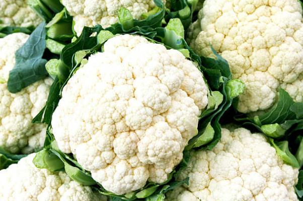 花椰菜變黃了還能吃嗎 花椰菜變黃的原因 花椰菜變黃了還能吃嗎 花椰菜變黃的原因