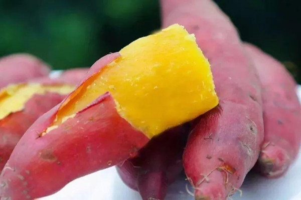 紅薯孕婦能吃嗎 紅薯孕婦吃了對(duì)胎兒有什么影響 紅薯孕婦能吃嗎 紅薯孕婦吃了對(duì)胎兒有什么影響