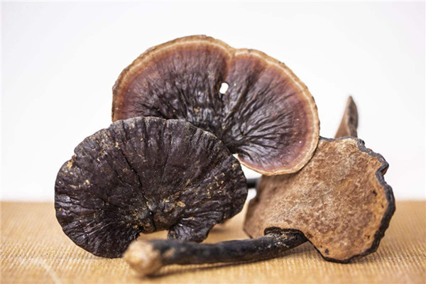 靈芝能降血糖嗎 靈芝的營(yíng)養(yǎng)價(jià)值是什么 靈芝能降血糖嗎 靈芝的營(yíng)養(yǎng)價(jià)值是什么