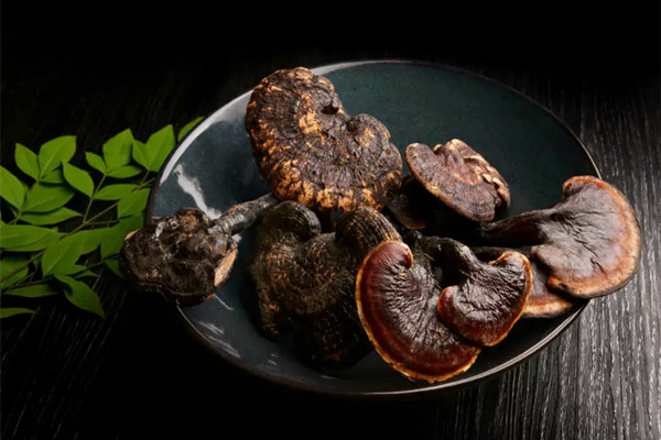 靈芝煮水要煮多久 靈芝不能和什么一起吃