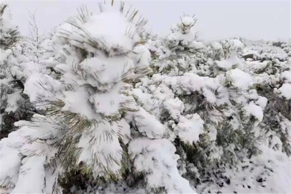 強寒潮是什么意思 強寒潮是在打臉全球變暖嗎 強寒潮是什么意思 強寒潮是在打臉全球變暖嗎