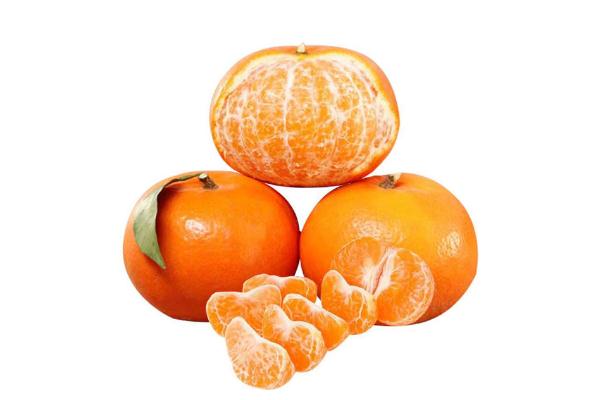 沃柑幾月份成熟上市 沃柑的功效與作用 沃柑幾月份成熟上市 沃柑的功效與作用