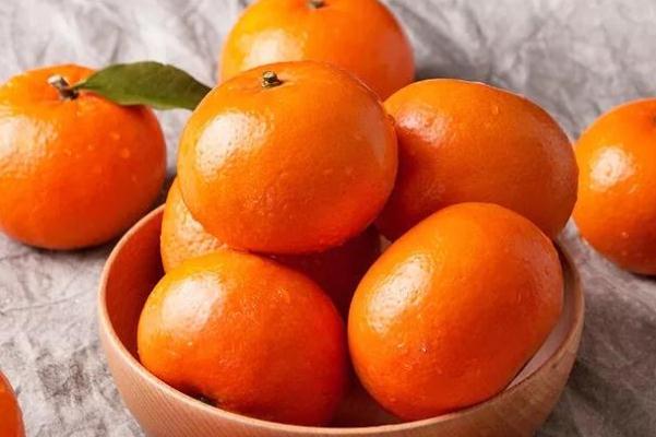 沃柑對身體有什么好處 胃炎可以吃沃柑嗎 沃柑對身體有什么好處 胃炎可以吃沃柑嗎