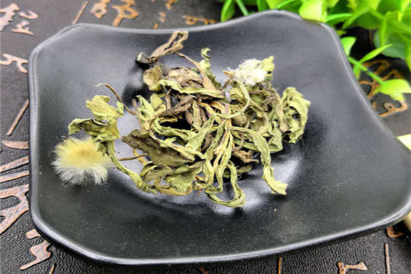 蒲公英茶泡多久就不能喝了 蒲公英茶可以隔夜喝嗎 蒲公英茶泡多久就不能喝了 蒲公英茶可以隔夜喝嗎