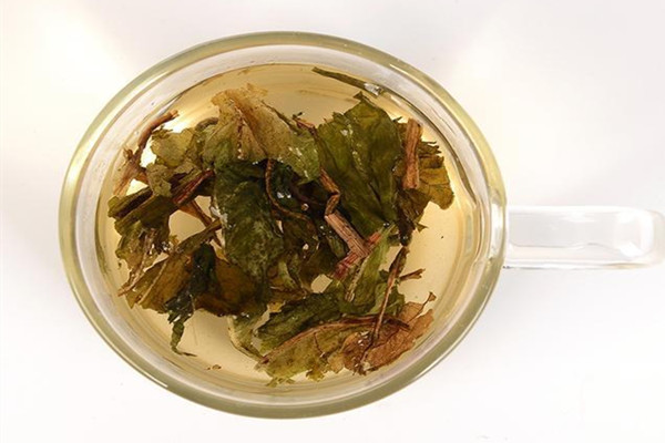 蒲公英茶泡多久就不能喝了 蒲公英茶可以隔夜喝嗎 蒲公英茶泡多久就不能喝了 蒲公英茶可以隔夜喝嗎