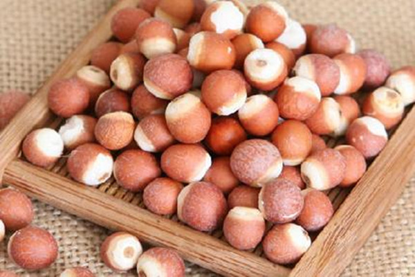 芡實(shí)能空腹吃嗎 芡實(shí)晚上可以吃嗎 芡實(shí)能空腹吃嗎 芡實(shí)晚上可以吃嗎