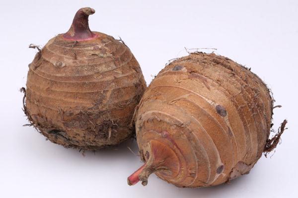 芋頭孕婦可以吃嗎早期 芋頭孕婦血糖高可以吃嗎 芋頭孕婦可以吃嗎早期 芋頭孕婦血糖高可以吃嗎