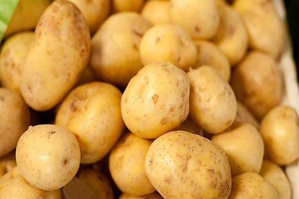 土豆氧化了還能吃嗎 怎么防止土豆氧化 土豆氧化了還能吃嗎 怎么防止土豆氧化