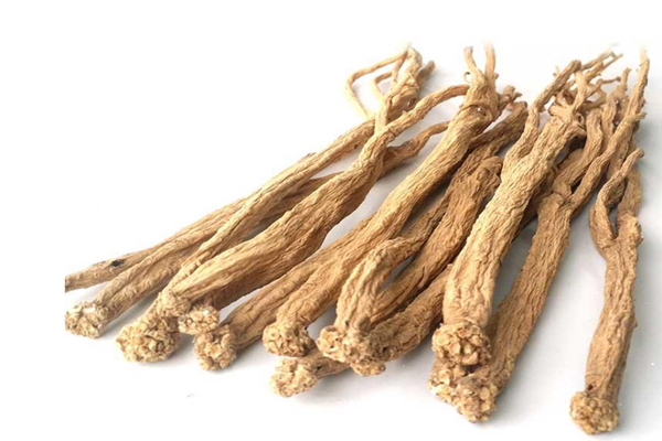 黨參泡水喝一次放多少 黨參泡水喝會(huì)上火嗎 黨參泡水喝一次放多少 黨參泡水喝會(huì)上火嗎