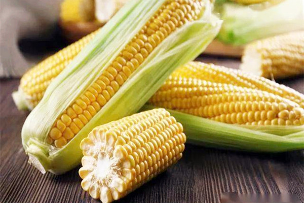 玉米能否生吃 玉米生吃有什么作用 玉米能否生吃 玉米生吃有什么作用