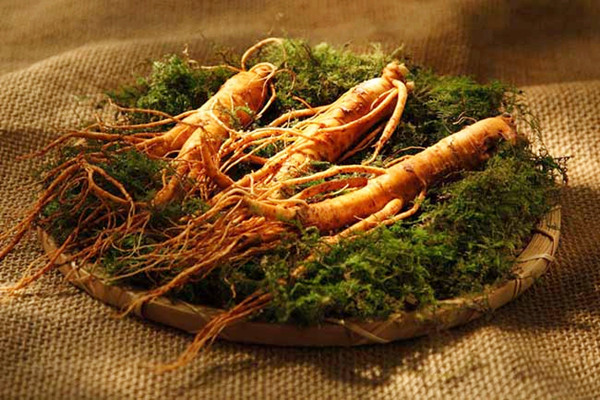 長白山人參什么時候吃最好 長白山人參可以怎么吃 長白山人參什么時候吃最好 長白山人參可以怎么吃