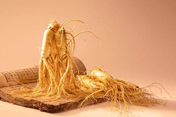 長白山人參哪些人不能吃 長白山人參糖尿病的人能吃嗎 長白山人參哪些人不能吃 長白山人參糖尿病的人能吃嗎