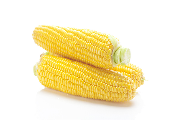 玉米需要放冰箱嗎 玉米怎么保存時(shí)間長(zhǎng)一點(diǎn)