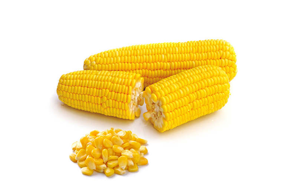 玉米需要放冰箱嗎 玉米怎么保存時(shí)間長(zhǎng)一點(diǎn) 玉米需要放冰箱嗎 玉米怎么保存時(shí)間長(zhǎng)一點(diǎn)