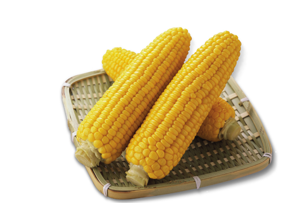 玉米需要放冰箱嗎 玉米怎么保存時(shí)間長(zhǎng)一點(diǎn) 玉米需要放冰箱嗎 玉米怎么保存時(shí)間長(zhǎng)一點(diǎn)