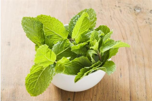 薄荷可以提神醒腦嗎 薄荷會影響睡眠嗎 薄荷可以提神醒腦嗎 薄荷會影響睡眠嗎