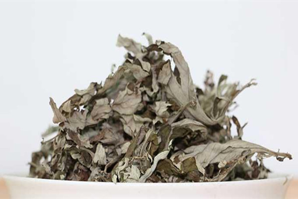 艾葉能泡水喝嗎 艾葉可以煮水喝嗎 艾葉能泡水喝嗎 艾葉可以煮水喝嗎