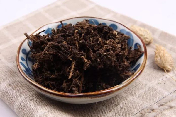 艾葉能泡水喝嗎 艾葉可以煮水喝嗎 艾葉能泡水喝嗎 艾葉可以煮水喝嗎