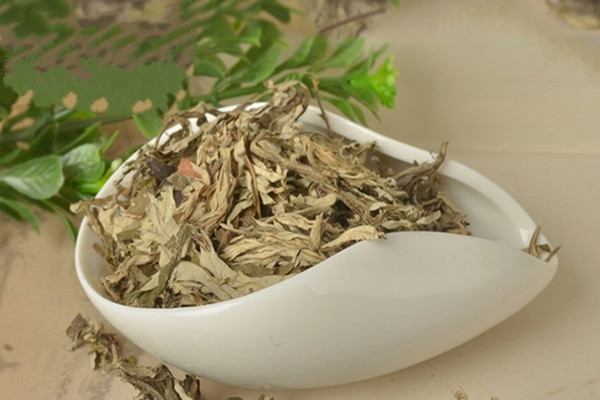 干艾葉和濕艾葉功效一樣嗎 干艾葉和濕艾葉有區(qū)別嗎 干艾葉和濕艾葉功效一樣嗎 干艾葉和濕艾葉有區(qū)別嗎