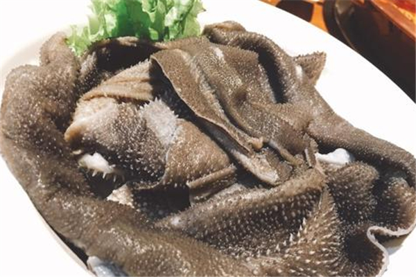 毛肚可以冷凍保存嗎 毛肚可以放多久 毛肚可以冷凍保存嗎 毛肚可以放多久