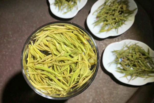 安吉白茶的功效 安吉白茶是綠色還是白茶 安吉白茶的功效 安吉白茶是綠色還是白茶