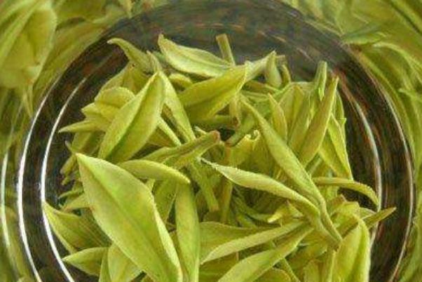 安吉白茶孕婦可以喝嗎 安吉白茶是涼性的還是熱性的 安吉白茶孕婦可以喝嗎 安吉白茶是涼性的還是熱性的