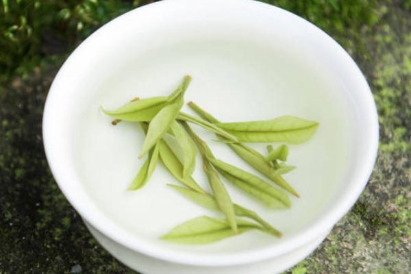 安吉白茶與福鼎白茶有什么區(qū)別 安吉白茶產(chǎn)地哪里 安吉白茶與福鼎白茶有什么區(qū)別 安吉白茶產(chǎn)地哪里