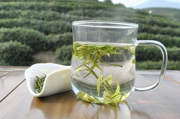 安吉白茶與福鼎白茶有什么區(qū)別 安吉白茶產(chǎn)地哪里 安吉白茶與福鼎白茶有什么區(qū)別 安吉白茶產(chǎn)地哪里