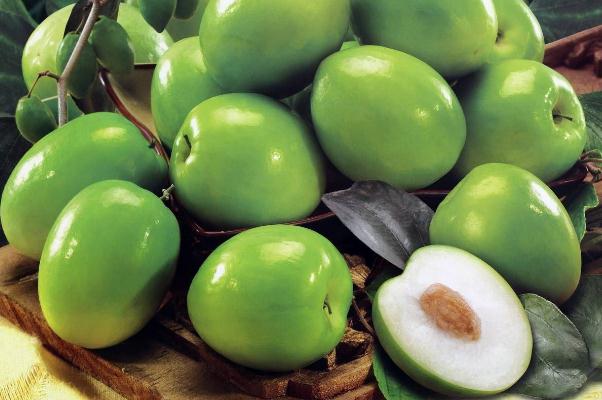 牛奶棗有點(diǎn)澀怎么處理 新鮮牛奶棗怎么保存 牛奶棗有點(diǎn)澀怎么處理 新鮮牛奶棗怎么保存