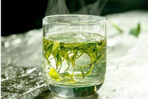 綠茶可以天天喝嗎 綠茶一天喝多少合適 綠茶可以天天喝嗎 綠茶一天喝多少合適