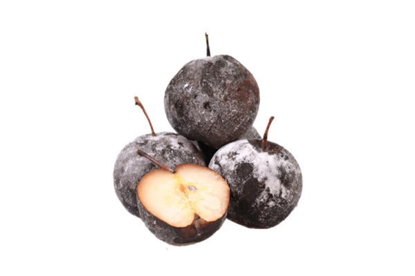 凍梨是哪兒的特產(chǎn) 凍梨是涼性的嗎 凍梨是哪兒的特產(chǎn) 凍梨是涼性的嗎