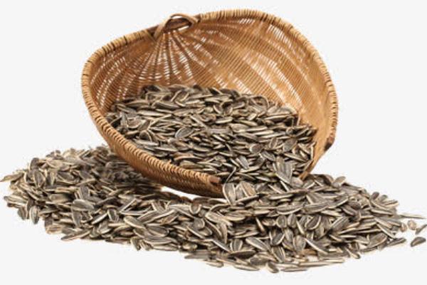 葵瓜子孕婦能吃嗎 葵瓜子孕婦吃了好嗎 葵瓜子孕婦能吃嗎 葵瓜子孕婦吃了好嗎