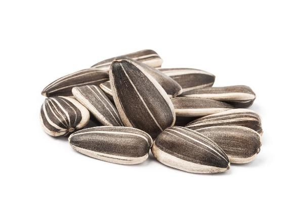 葵瓜子的營養(yǎng)價值及功效與作用 葵瓜子好處和壞處 葵瓜子的營養(yǎng)價值及功效與作用 葵瓜子好處和壞處