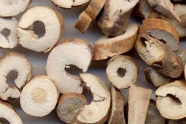 丹皮孕婦能用嗎 丹皮是牡丹花的根嗎 丹皮孕婦能用嗎 丹皮是牡丹花的根嗎