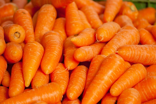 胡蘿卜發(fā)黑還能吃嗎 胡蘿卜發(fā)芽可以吃嗎 胡蘿卜發(fā)黑還能吃嗎 胡蘿卜發(fā)芽可以吃嗎