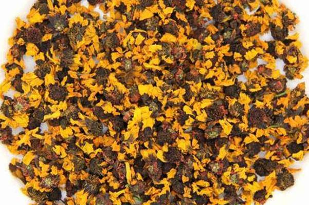 雪菊可以長(zhǎng)期飲用嗎 雪菊的禁忌人群 雪菊可以長(zhǎng)期飲用嗎 雪菊的禁忌人群