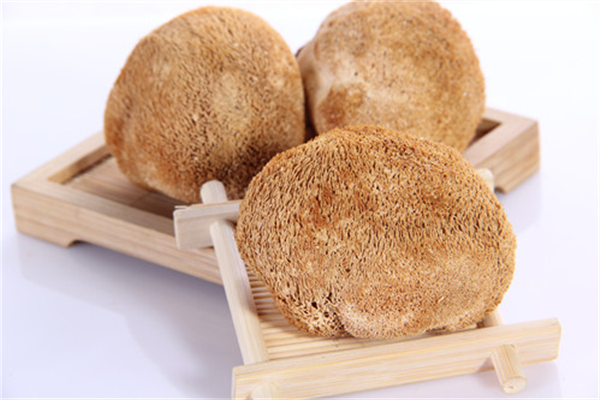 猴頭菇對胃有什么作用 猴頭菇可以長期食用嗎 猴頭菇對胃有什么作用 猴頭菇可以長期食用嗎