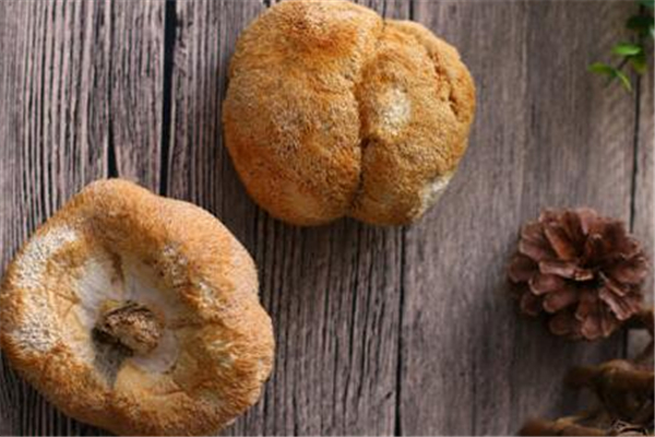 猴頭菇對胃有什么作用 猴頭菇可以長期食用嗎 猴頭菇對胃有什么作用 猴頭菇可以長期食用嗎