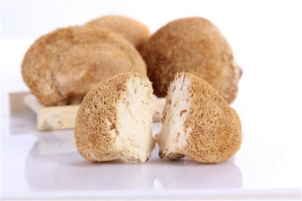 猴頭菇發(fā)白是不是霉了 猴頭菇怎么看它是不是變質(zhì) 猴頭菇發(fā)白是不是霉了 猴頭菇怎么看它是不是變質(zhì)